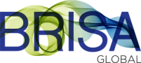brisa-global